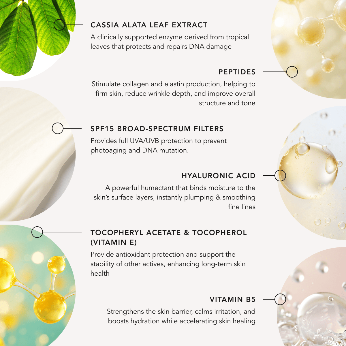 Day Defence Moisturiser SPF 15+